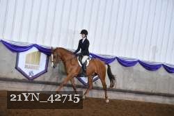 21YN_42715 thumbnail