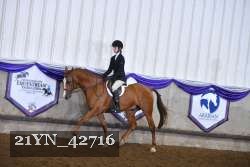 21YN_42716 thumbnail