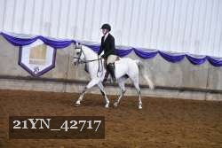 21YN_42717 thumbnail