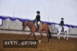 21YN_42720 thumbnail