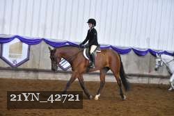 21YN_42721 thumbnail