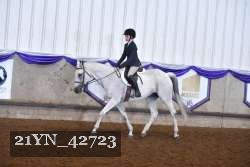 21YN_42723 thumbnail