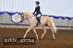 21YN_42724 thumbnail