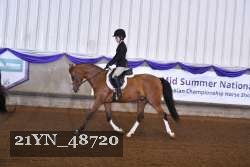 21YN_48720 thumbnail