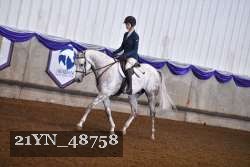 21YN_48758 thumbnail