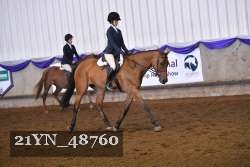 21YN_48760 thumbnail