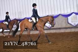 21YN_48761 thumbnail