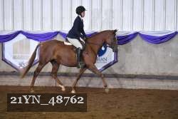 21YN_48762 thumbnail