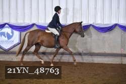 21YN_48763 thumbnail