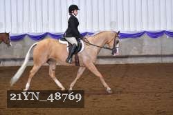21YN_48769 thumbnail