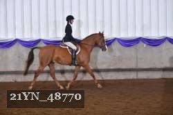 21YN_48770 thumbnail