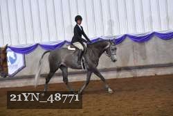 21YN_48771 thumbnail
