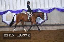 21YN_48772 thumbnail