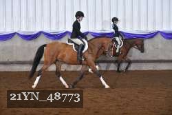 21YN_48773 thumbnail