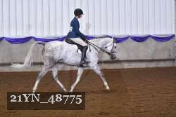 21YN_48775 thumbnail