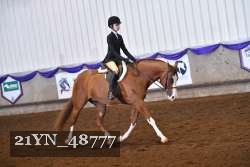 21YN_48777 thumbnail