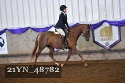 21YN_48782 thumbnail