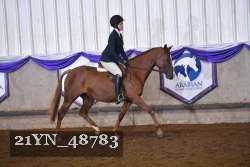 21YN_48783 thumbnail