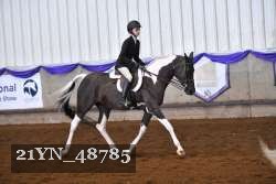 21YN_48785 thumbnail