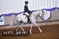 21YN_48787 thumbnail