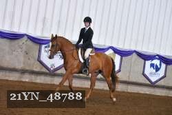 21YN_48788 thumbnail