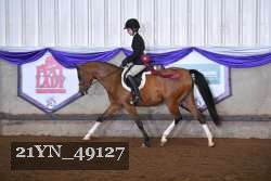 21YN_49127 thumbnail