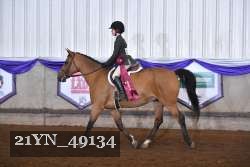 21YN_49134 thumbnail