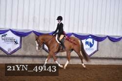 21YN_49143 thumbnail