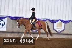 21YN_49144 thumbnail