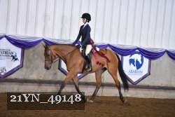 21YN_49148 thumbnail