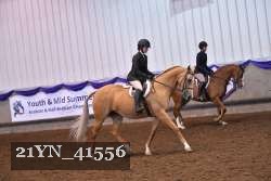 21YN_41556 thumbnail