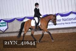 21YN_41644 thumbnail