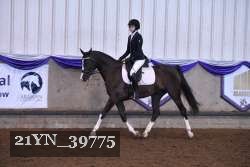 21YN_39775 thumbnail