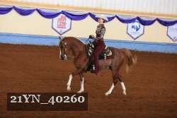 21YN_40260 thumbnail