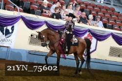 21YN_75602 thumbnail