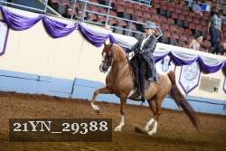 21YN_29388 thumbnail