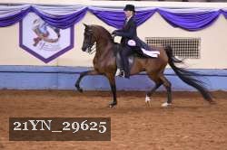 21YN_29625 thumbnail