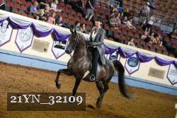 21YN_32109 thumbnail