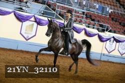 21YN_32110 thumbnail