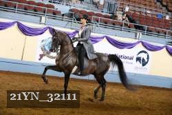 21YN_32111 thumbnail