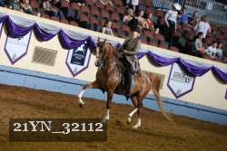 21YN_32112 thumbnail