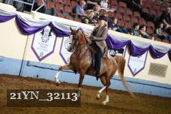 21YN_32113 thumbnail