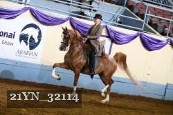 21YN_32114 thumbnail