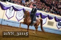21YN_32115 thumbnail