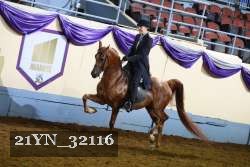 21YN_32116 thumbnail