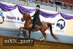 21YN_32117 thumbnail