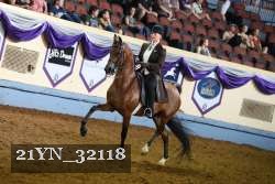 21YN_32118 thumbnail