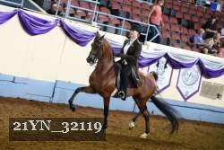 21YN_32119 thumbnail