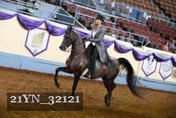 21YN_32121 thumbnail