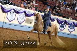 21YN_32122 thumbnail